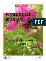 Fitxes de Les Plantes - Hort Vertical