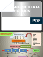 Mekanisme-Kerja-Hormon.pptx