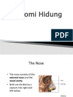 Anatomi Hidung