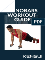 Nanobars Workout Guide