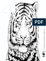 WWF Tiger Color