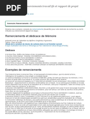 Exemples De Remerciements Travail Tfe Et Rapport De Projet Pdf Business Enseignement Superieur