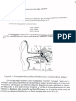 Bloque-8.1.-La-percepcion-del-sonido.pdf