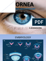 Cornea: Anatomy and Physiology