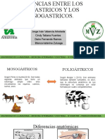 Diferencias Entre Mono Poligastricos