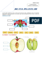 ficha 30 ciencia y tecnología