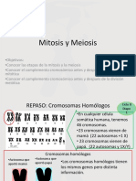 04 Mitosis y Meiosis