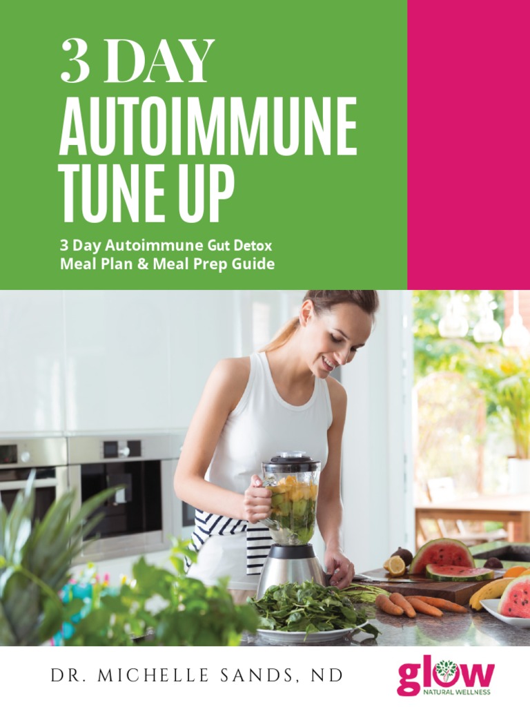 3-Day Autoimmune Meal Plan Guide | PDF | Self-Improvement | Lifestyle