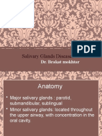 14salivary Gland Physo+anatomy