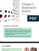 Chapter 2 - Respiratory System