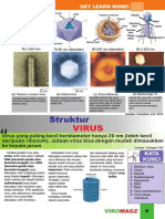 Struktur dan komponen virus