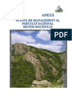 2013-04-29-DB-PLAN -MANAGEMENT-MACIN.doc