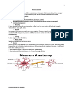 Nervous System-WPS Office