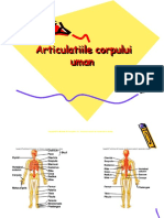 articulatiile.ppt