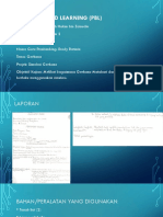 PBL Danish PDF