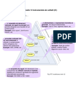 C5 Instrumentele Calitatii (CI) PDF