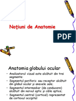 Cursuri Tot PDF