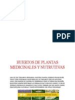 Huertos de Plantas Medicinales y Nutrutivas