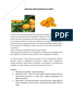 Laranja Doce PDF