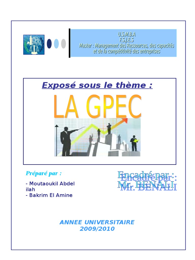 GPEC : Historique et enjeux clés | PDF | Gestion des ressources ...