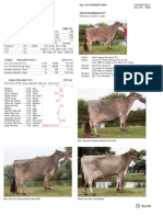 Dairy Bull - 151BS00226 - Top Acres Winmore ET.pdf