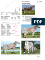 Dairy Bull - 151BS01408 - BMG Breeders Lost Art ET