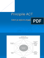 Principii ACT