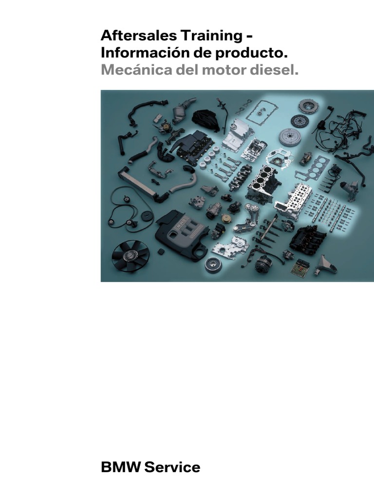 Cuánto Tiempo Tarda En Estropearse El Gasoil Mecanica Diesel | PDF | BMW | Motor diesel