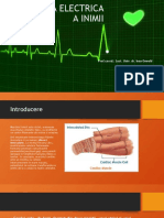 Activitatea Electrica A Inimii