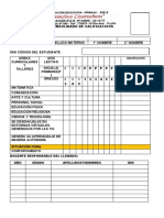 Formato de Consolidado