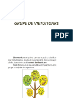 10. GRUPE DE VIETUITOARE - BACTERII PROTOZOARE, ALGE.pptx