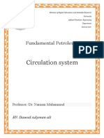 Circulation System: Fundamental Petroleum