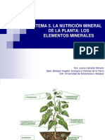 Tema 5FV - Nutrición Mineral de La Plantas