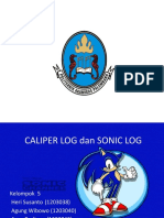 Sonic Log Dan Caliper Log