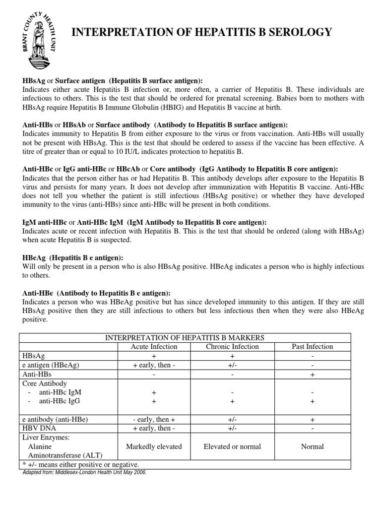 Interpretation Hepatitis B Serology Summary Pdf Hepatitis B Hepatitis