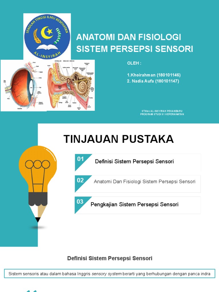 Anatomis dan Fisiologi Persepsi Sensoris | PDF | Kajian Bahasa Asing