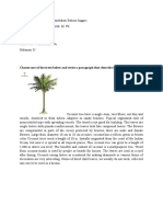 Apriliana Rossa - Pend. IPA (Coconut Tree)