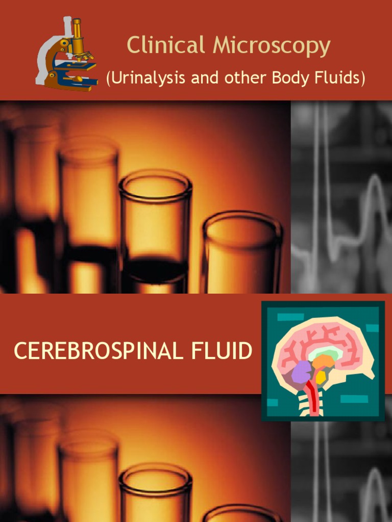 Cerebrospinal Fluid Analysis Guide | PDF | Meningitis | Cerebrospinal Fluid