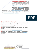 4ta CLASE LIQUIDO CEFALORRAQUIDIO Y SINOVIAL