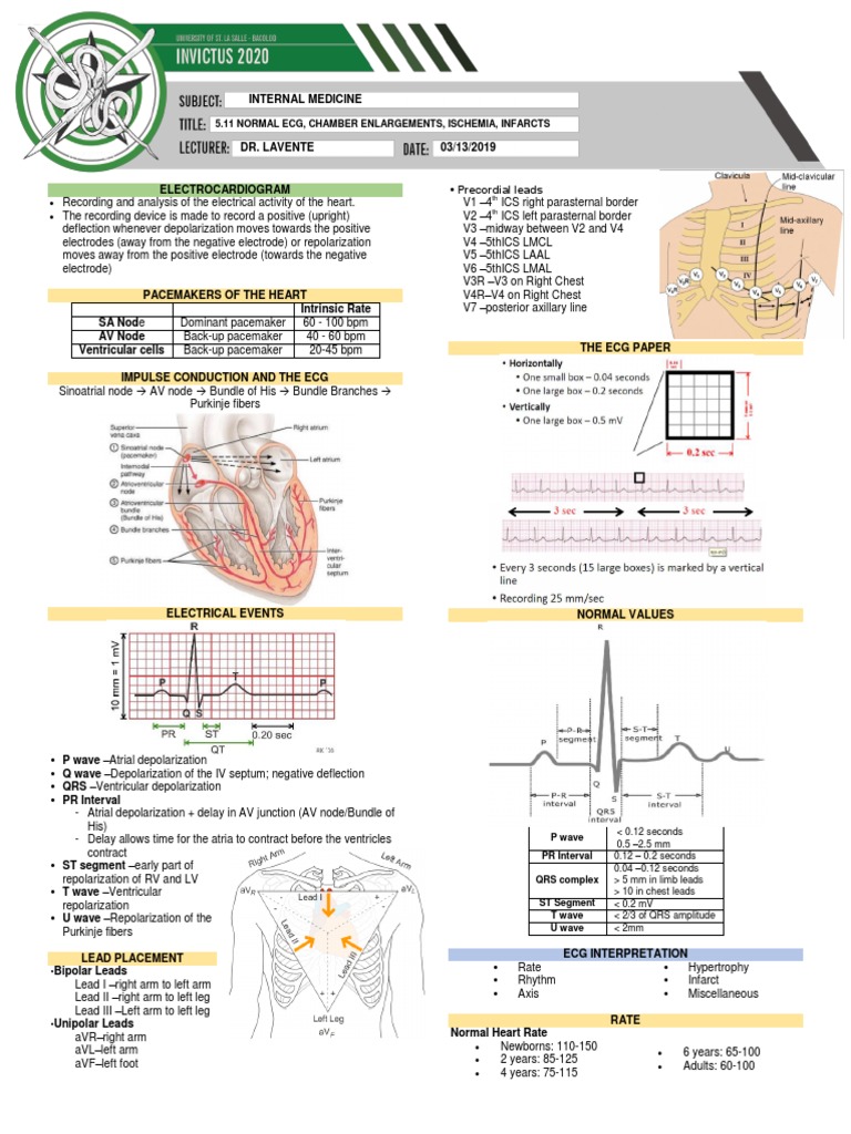 ECG Interpretation Guide | PDF | Electrocardiography | Cardiac ...