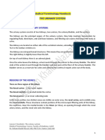 Student Handout - The Urinary System - RKN - RZ