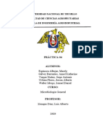 PRÁCTICA 04 - GRUPAL (MICROBIOLOGÍA GENERAL - ING. AGROIDNSUTRIAL IV CICLO - VJ) (2).pdf