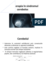 Sindromul Cerebelos (3) .Pps