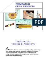 Terminating Theory & Products