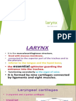 Larynx Anatomy and Function