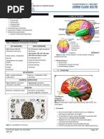 Neurology 1.03 Approach To Cerebral Function - Dr. Martinez