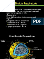 Virus Sincicial Respiratorio