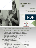 Iso 45001 PDF