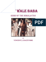 Tat Wale Baba: Rishi of The Himalayas