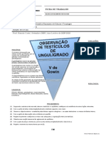 20627590-Ficha-de-Trabalho-5-Biologia-12.pdf